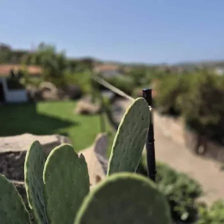 Con Terrazza E Natura A Due Passi Dal Mare *